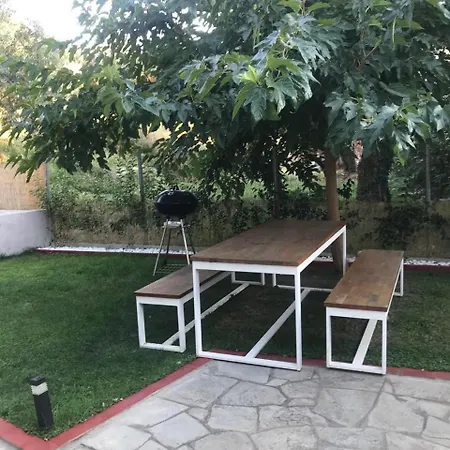 My House *